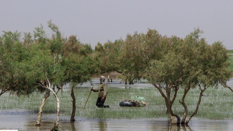 حالِ خوبِ «هامون»