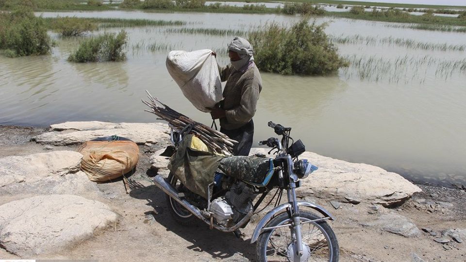 حالِ خوبِ «هامون»