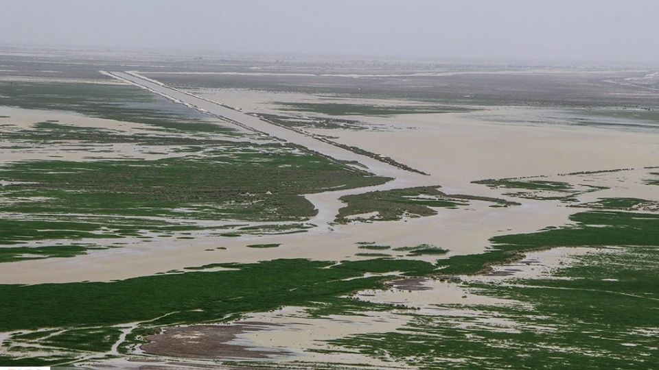 حالِ خوبِ «هامون»