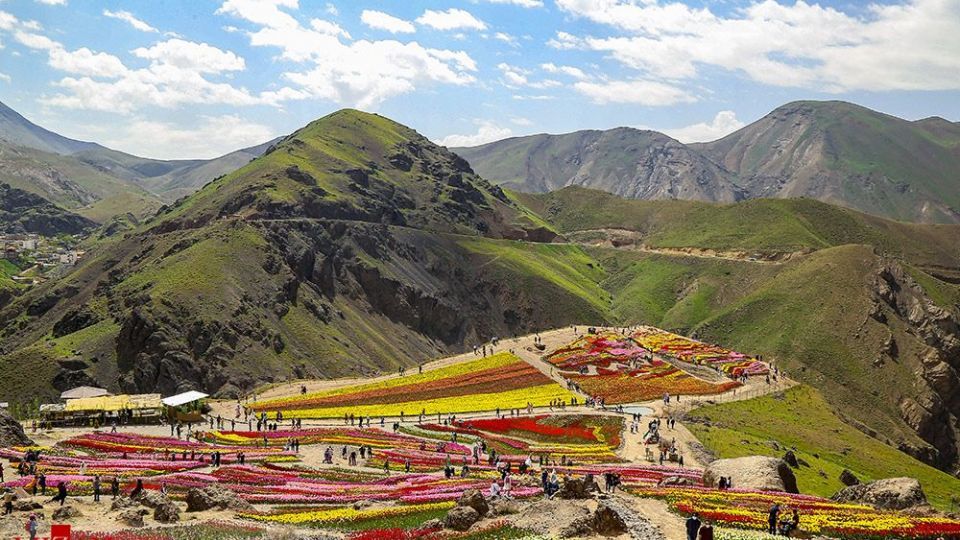 دشت لالههای روستای کندر دشت لالههای روستای کندر