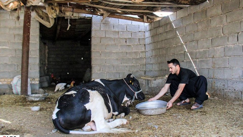 غیزانیه از نمای نزدیک 