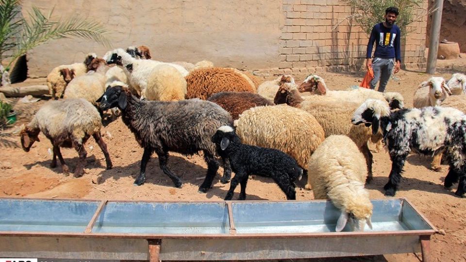 غیزانیه از نمای نزدیک 