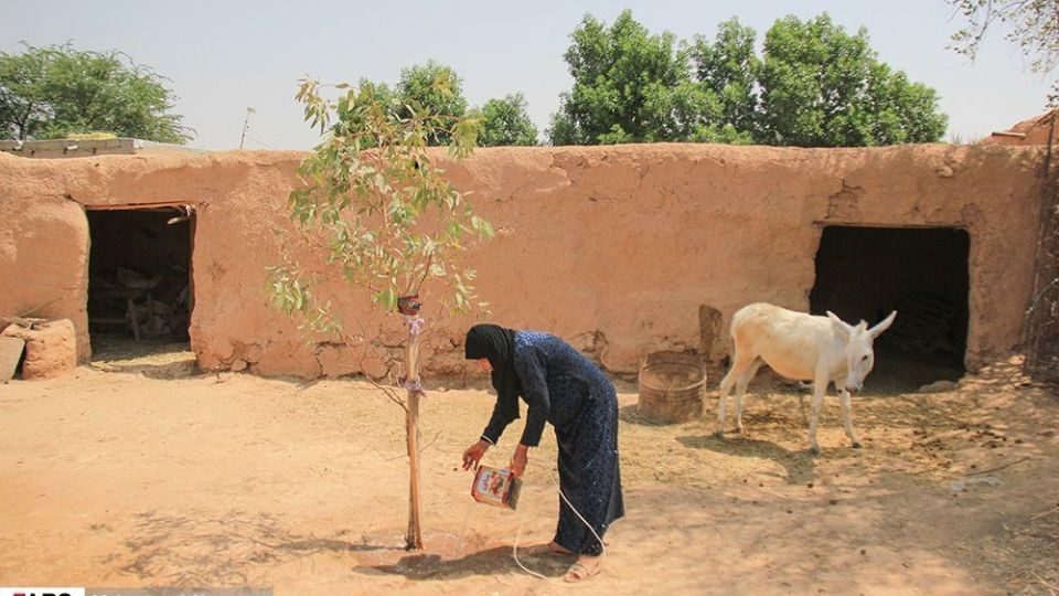 غیزانیه از نمای نزدیک 