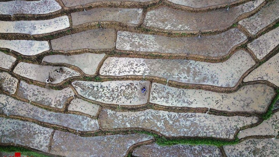 نشا کاری در مازندران