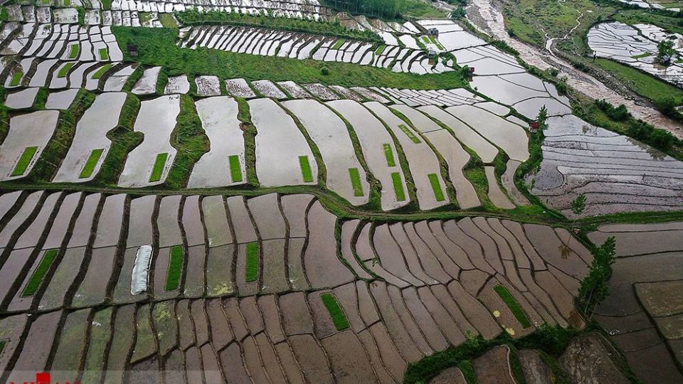 نشا کاری در مازندران