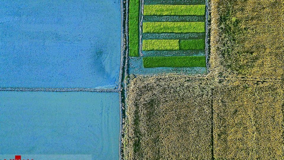 نشا کاری در مازندران