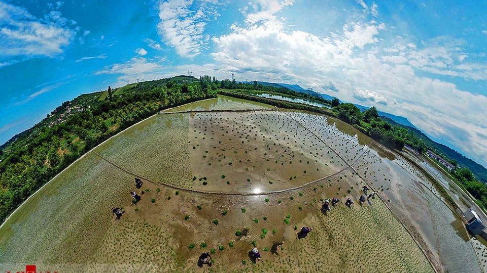 نشا کاری در مازندران