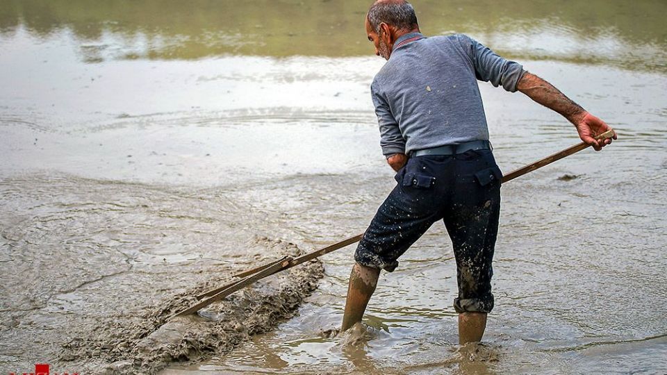 نشا کاری در مازندران