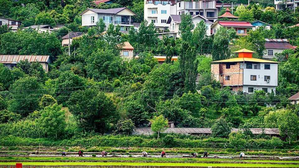 نشا کاری در مازندران