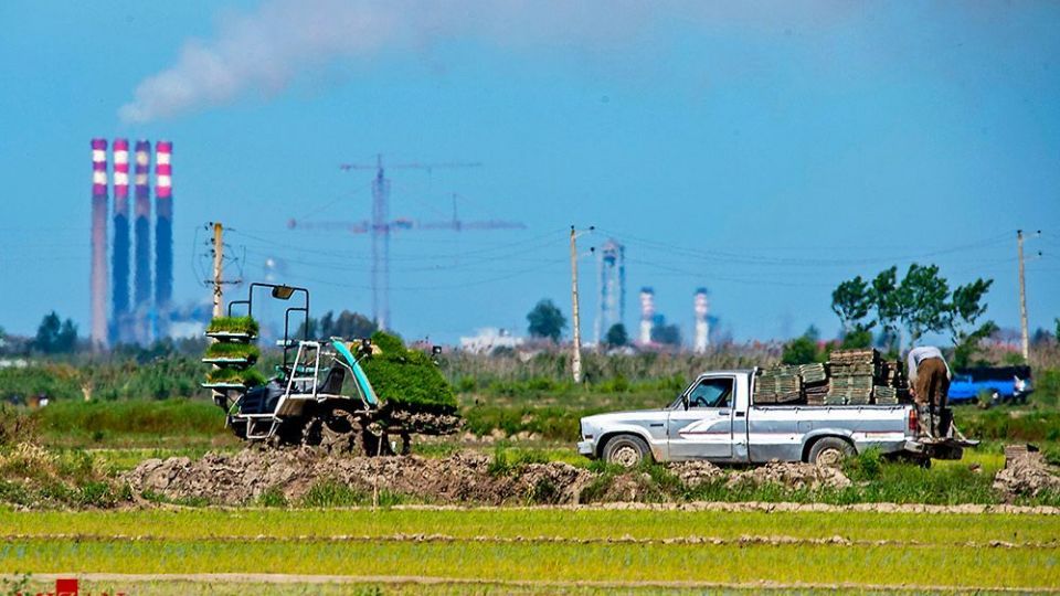 نشا کاری در مازندران