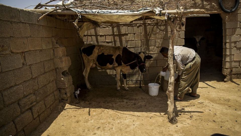 غیزانیه در رنج بی آبی