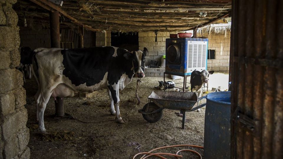 غیزانیه در رنج بی آبی