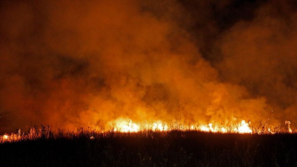 آتش سوزی در بوستان ولایت - تهران