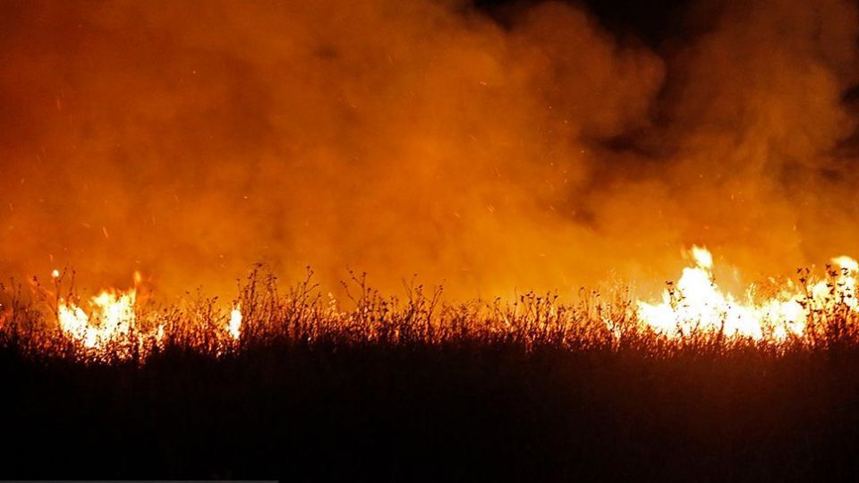 آتش سوزی در بوستان ولایت - تهران