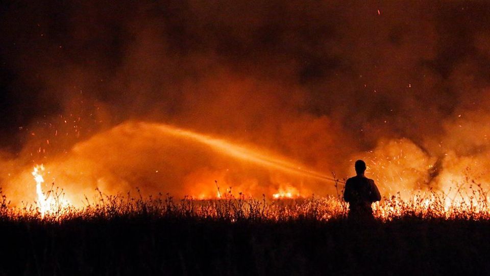 آتش سوزی در بوستان ولایت - تهران