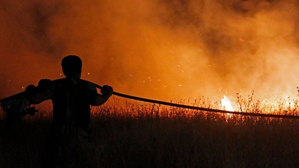 آتش سوزی در بوستان ولایت - تهران