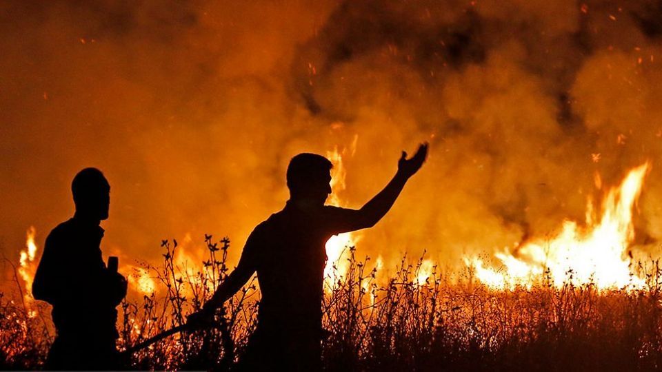 آتش سوزی در بوستان ولایت - تهران