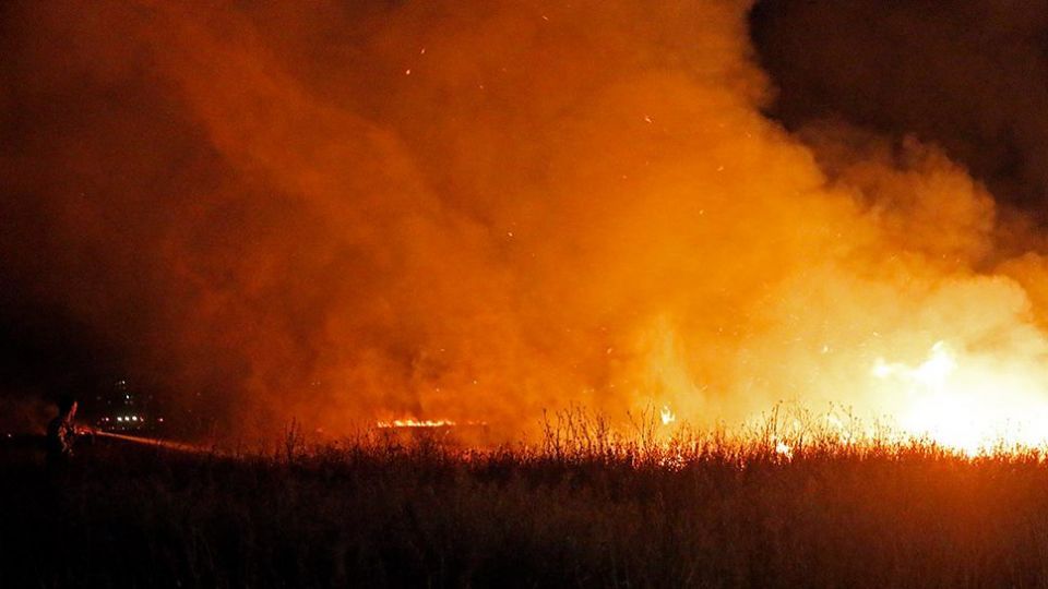 آتش سوزی در بوستان ولایت - تهران