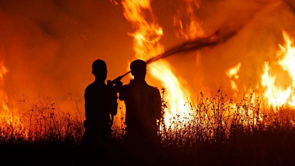 آتش سوزی در بوستان ولایت - تهران