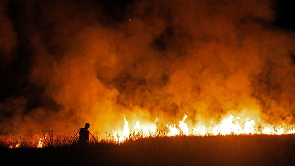 آتش سوزی در بوستان ولایت - تهران