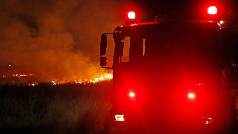 آتش سوزی در بوستان ولایت - تهران