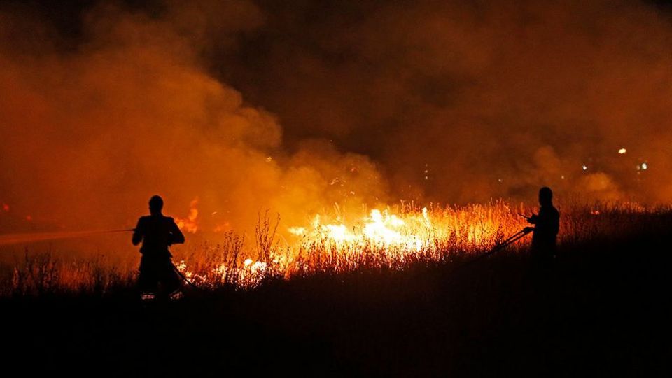 آتش سوزی در بوستان ولایت - تهران