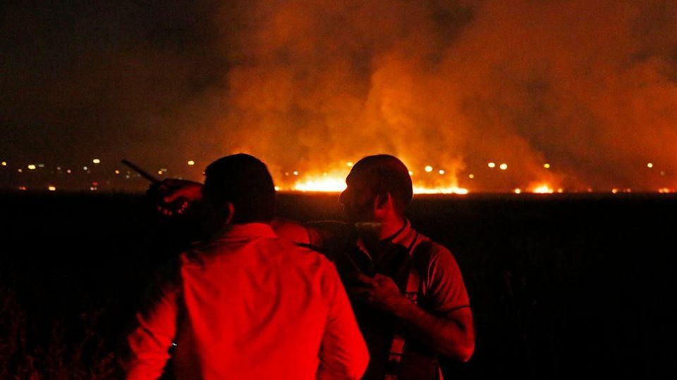 آتش سوزی در بوستان ولایت - تهران