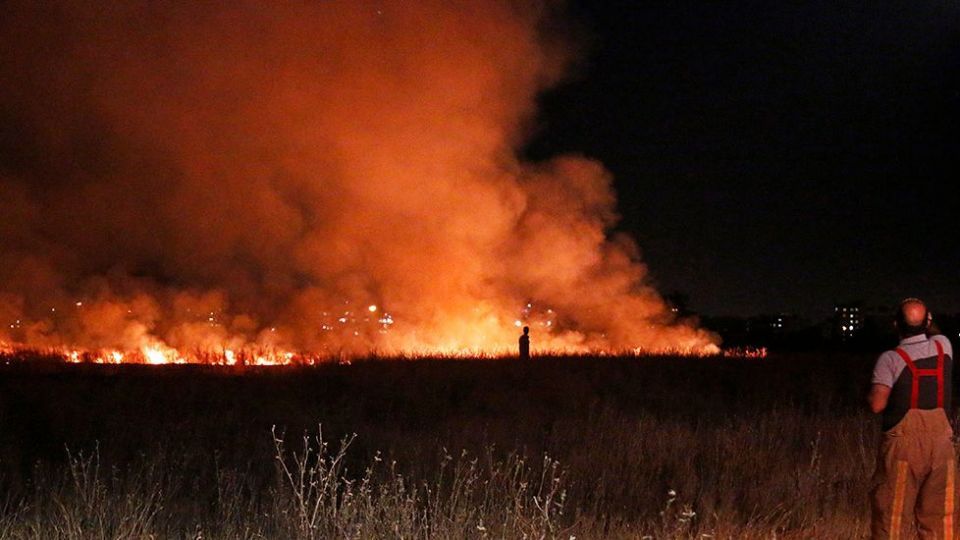 آتش سوزی در بوستان ولایت - تهران