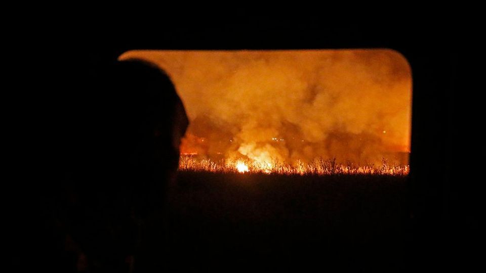 آتش سوزی در بوستان ولایت - تهران