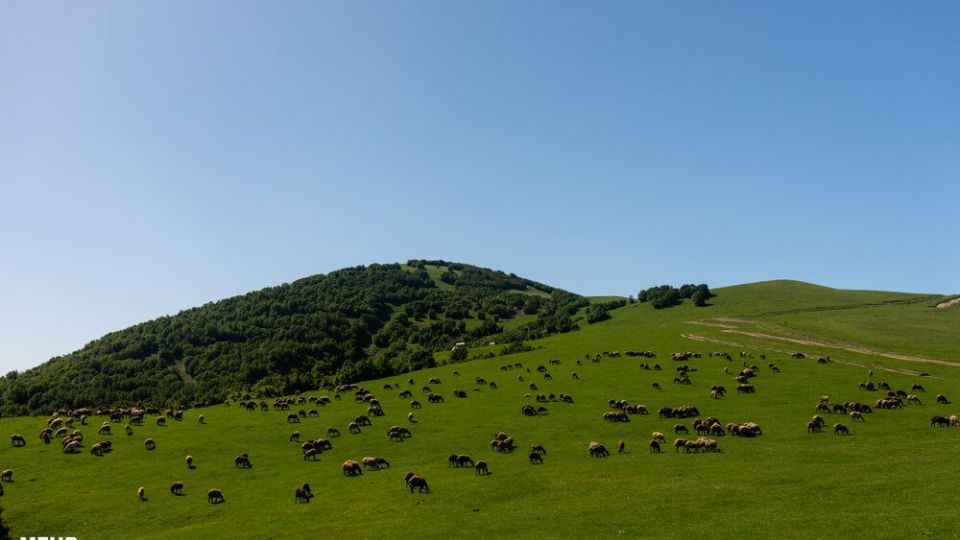 طبیعت دریاچه سوها تا آبشار لاتون