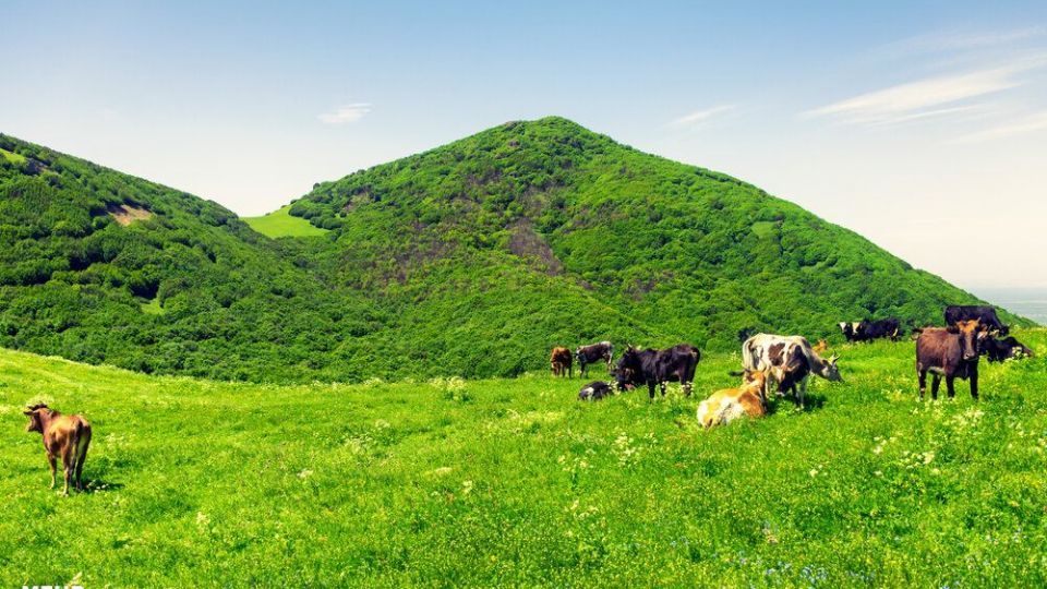 طبیعت دریاچه سوها تا آبشار لاتون