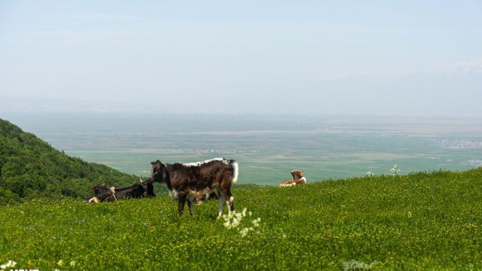 طبیعت دریاچه سوها تا آبشار لاتون