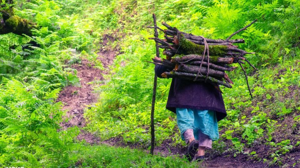 طبیعت دریاچه سوها تا آبشار لاتون