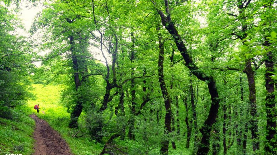 طبیعت دریاچه سوها تا آبشار لاتون