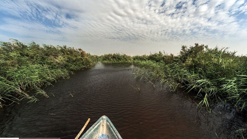 صدای پای آب در سیستان