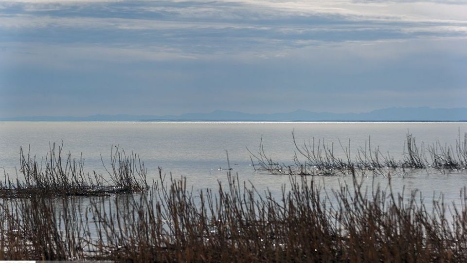 صدای پای آب در سیستان