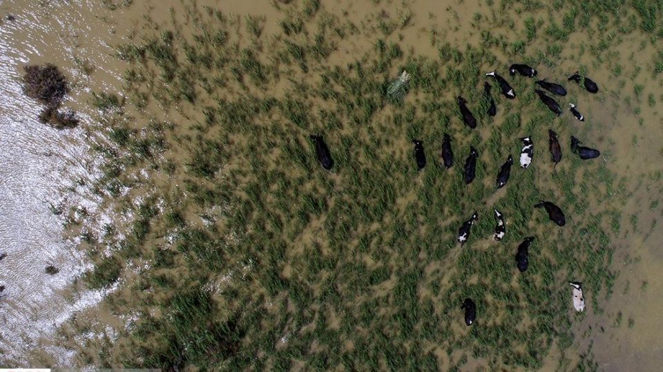 صدای پای آب در سیستان