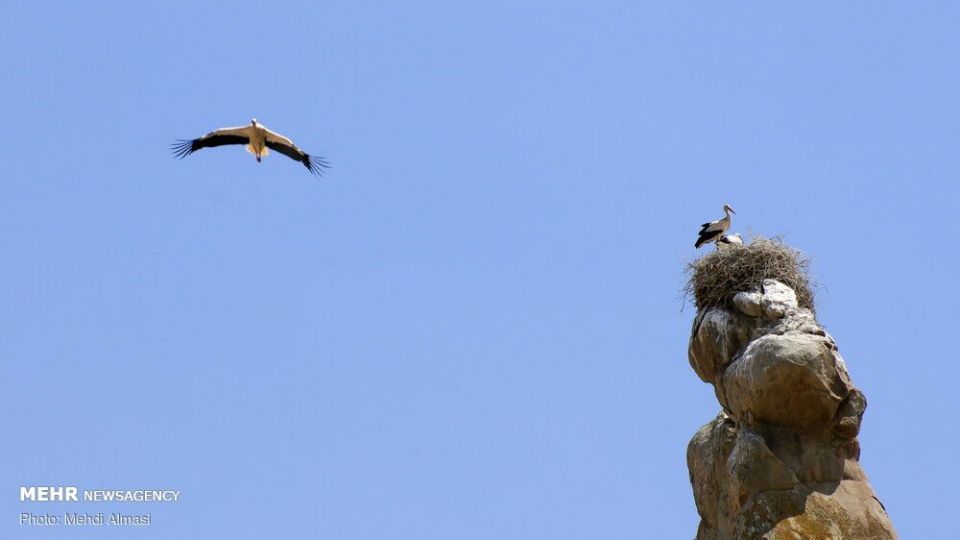 تپه‌های رنگی ماهنشان