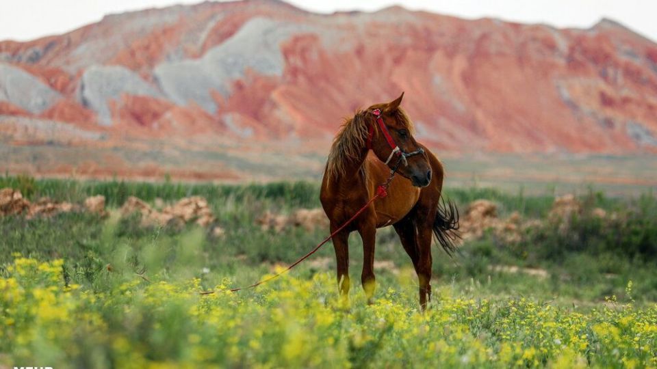 تپه‌های رنگی ماهنشان