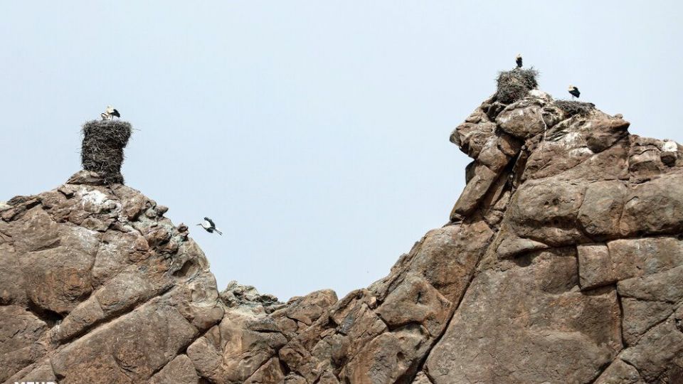 تپه‌های رنگی ماهنشان