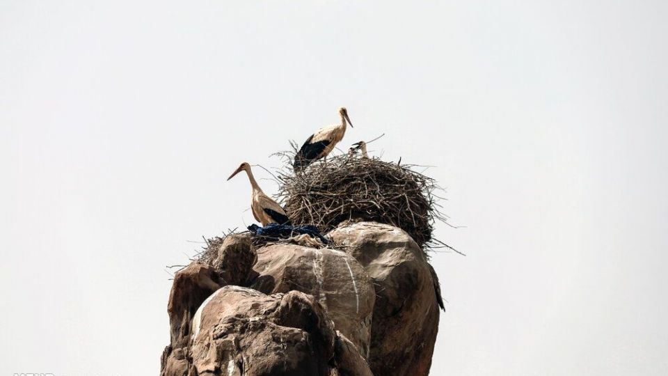 تپه‌های رنگی ماهنشان