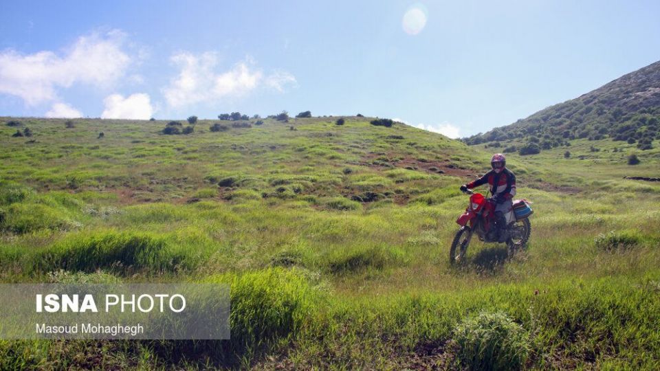 حال و روز جنگل «ابر» شاهرود