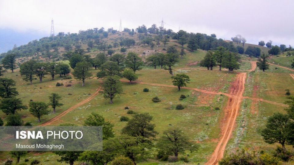 حال و روز جنگل «ابر» شاهرود