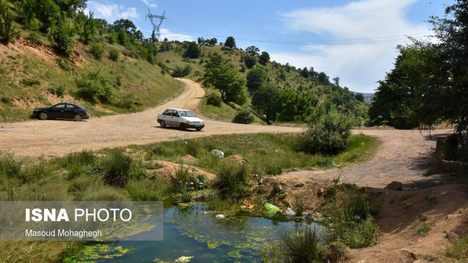 حال و روز جنگل «ابر» شاهرود