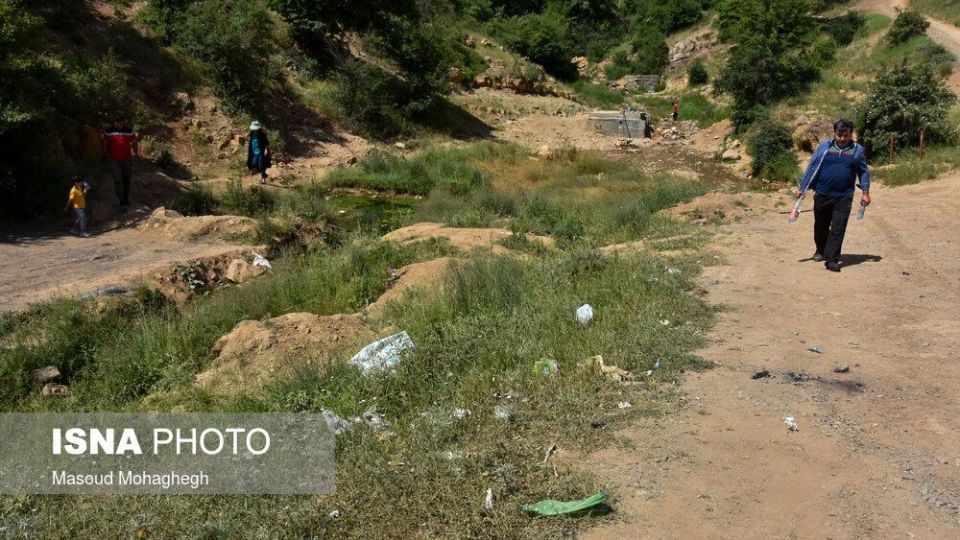 حال و روز جنگل «ابر» شاهرود