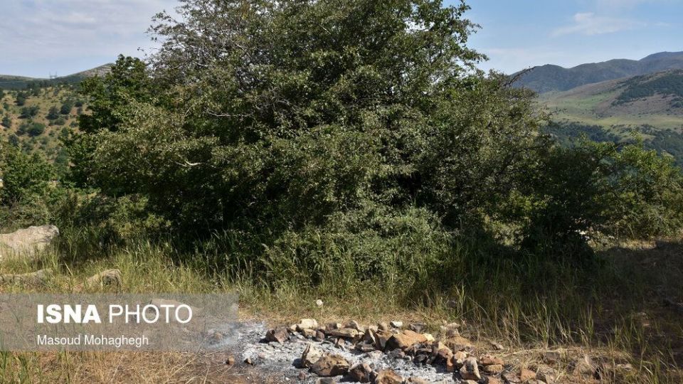 حال و روز جنگل «ابر» شاهرود