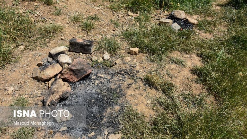 حال و روز جنگل «ابر» شاهرود