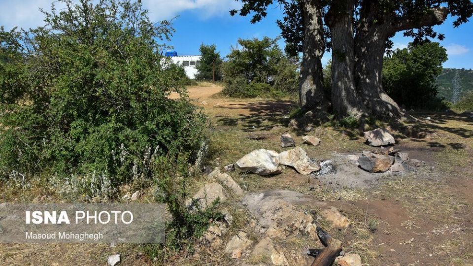 حال و روز جنگل «ابر» شاهرود