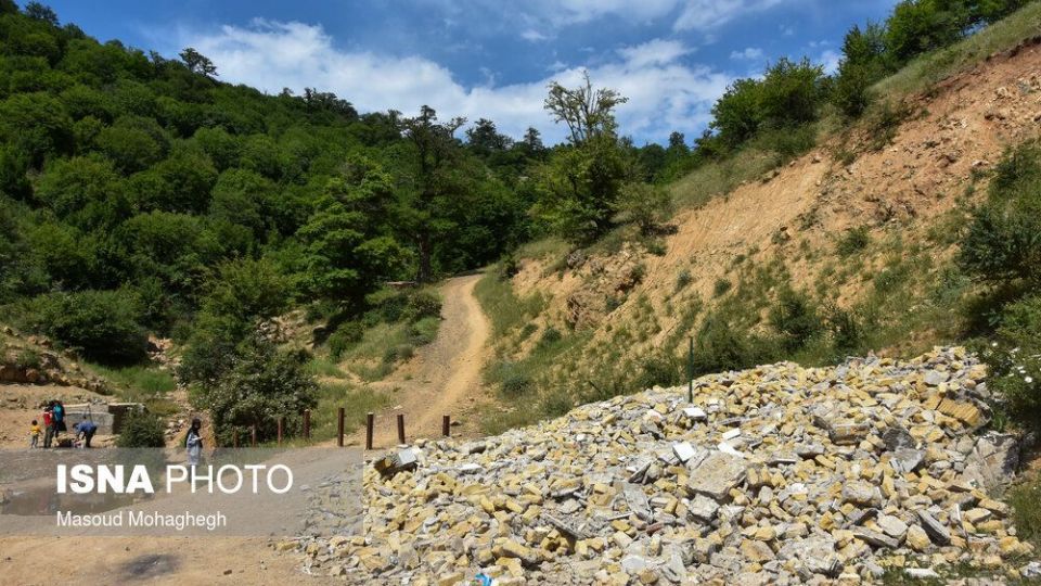 حال و روز جنگل «ابر» شاهرود