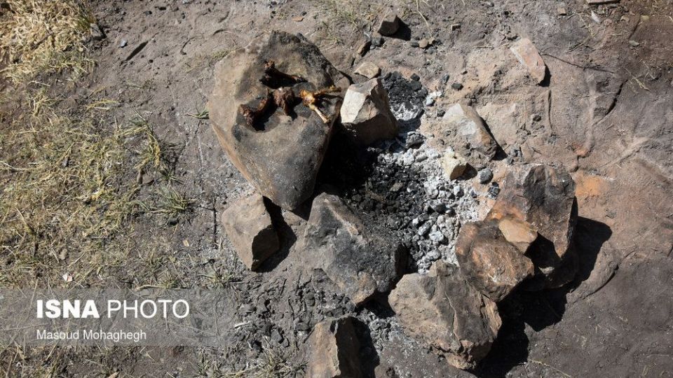 حال و روز جنگل «ابر» شاهرود